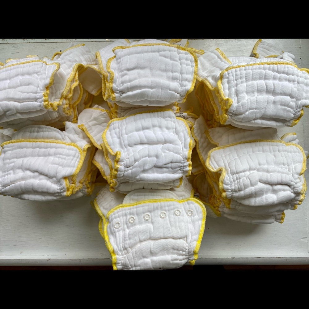 Cloth-eez Workhorse Diapers - small